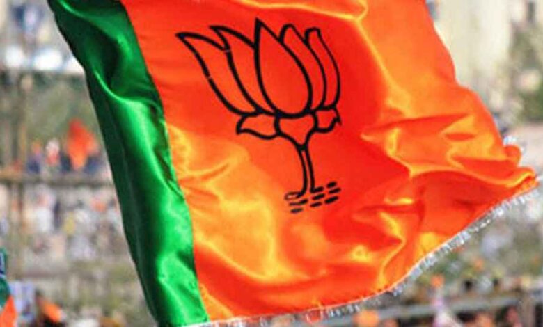 भाजपा झंडा